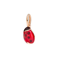 DoDo Ladybug